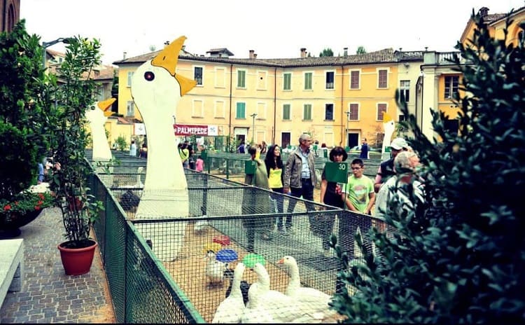 Goose Salami Fair - Lombardia - Italy