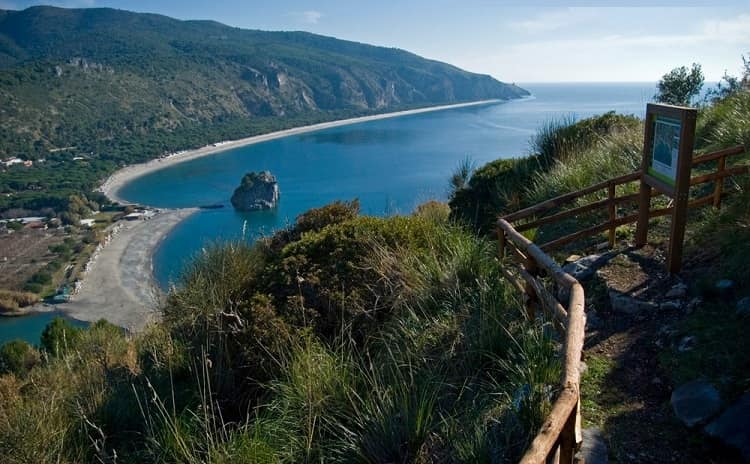 Natura e trekking in Campania: Il Sentiero della Primula ...