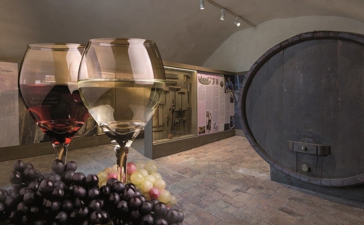 Museo del Vino - Emilia Romagna