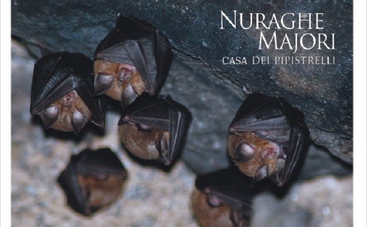 Casa dei Pipistrelli Nuraghe Majori - Sardegna