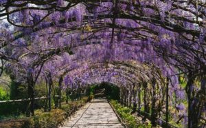 Giardino Bardini - Toscana