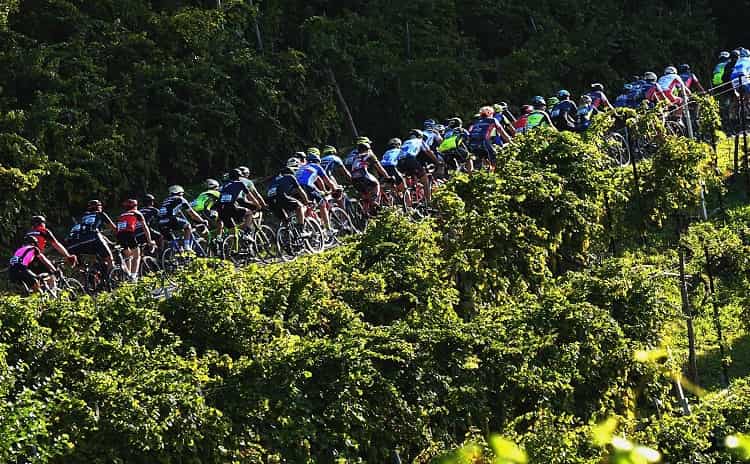 Prosecco Cycling - Veneto