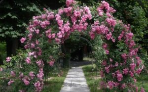 Parco di San Giovanni Trieste - Friuli Venezia Giulia