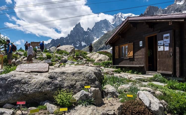 Saussurea Garden - Valle d'Aosta - Italy