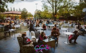 Go Go Bo Festival - Emilia Romagna