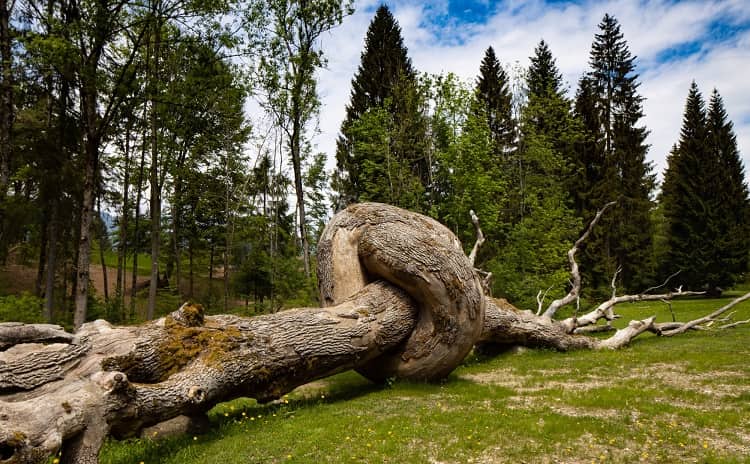 Arte Sella Park and Villa Strobele - Trentino Alto Adige - Italy