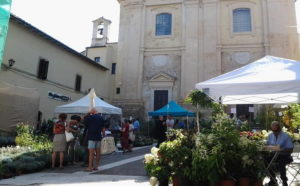 Tra Pomi e Fiori - Umbria