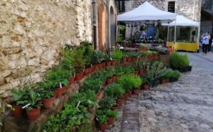 Tra Pomi e Fiori - Umbria