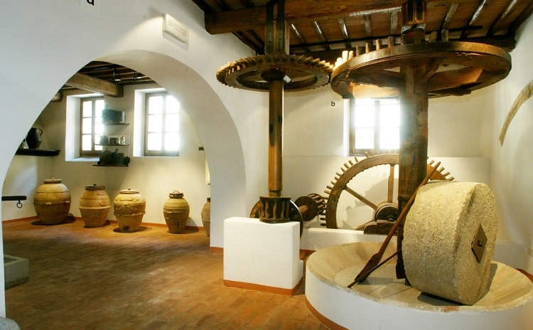 Olive tree and Oil Museum - Umbria - Italy