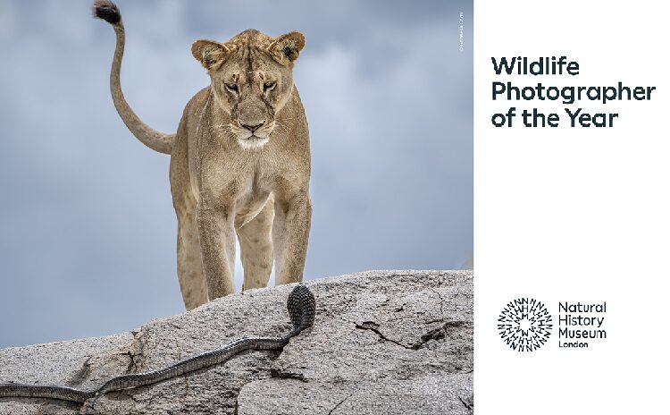 Wildlife Photographer of the Year a Milano
