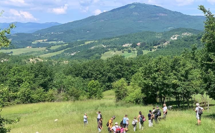 Oasi WWF dei Ghirardi - Emilia Romagna