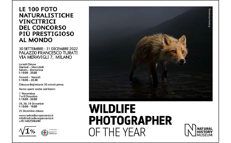 Wildlife Photographer 2022 Mostra Lombardia