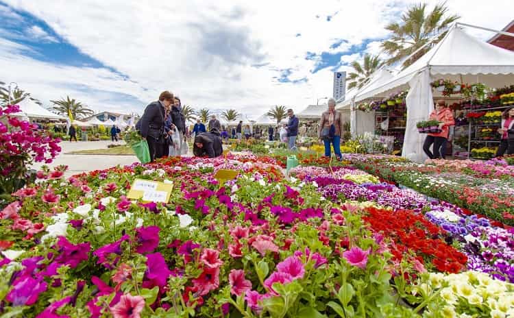 Mostra del Fiore Florviva - Abruzzo