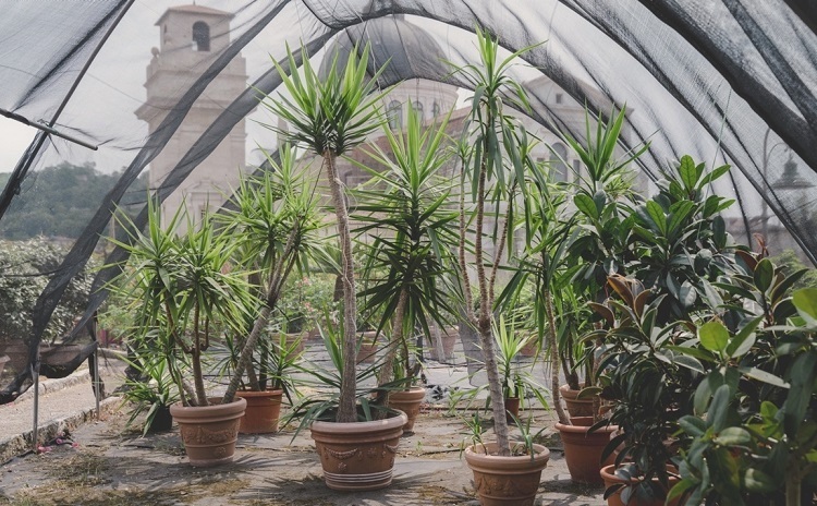 Giardini aperti Veronetta