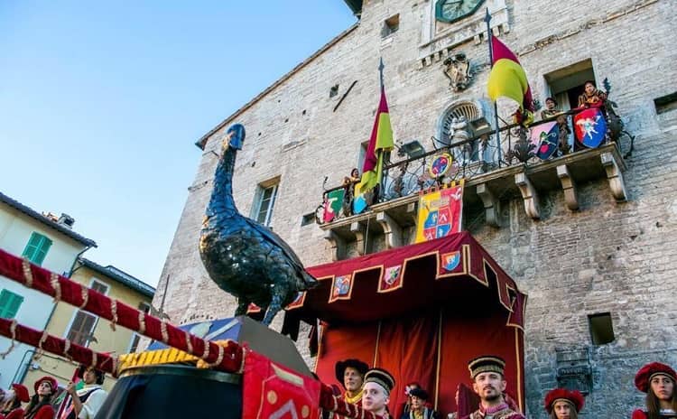 Palio dell'Oca di Cagli - Marche
