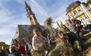 Festa del Ringraziamento - Trentino Alto Adige