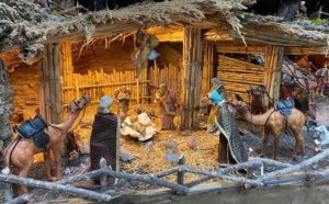 Puglia-Preepe-Novoli