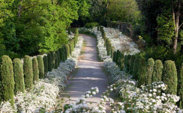 Appuntamento in giardino