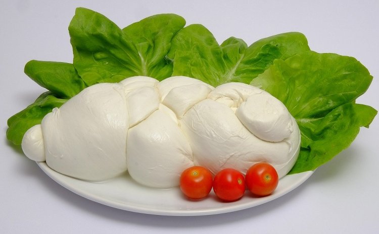 Puglia-mozzarella di bufala